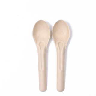 Compostable Bagasse Spoon (1x100)