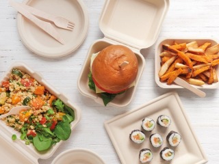 ECO FIBRE SQUARE PLATES 