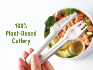 SUGARCANE CUTLERY